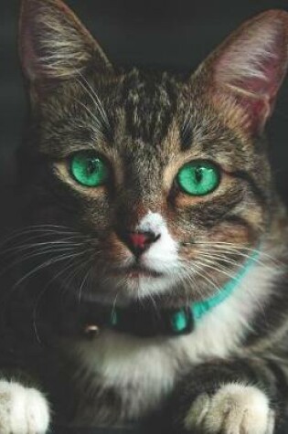 Cover of Cat with Green Eyes