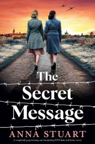 Cover of The Secret Message