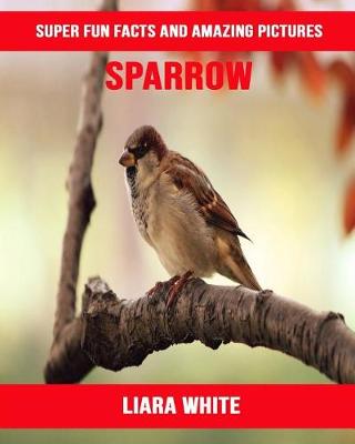 Book cover for Sparrow