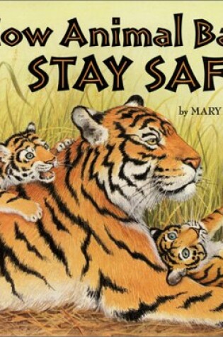 Cover of How Animal Babes Stay Safe