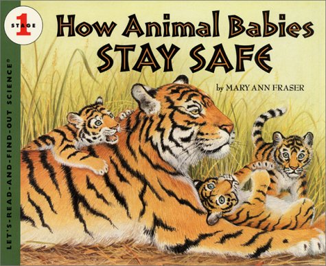 Book cover for How Animal Babes Stay Safe