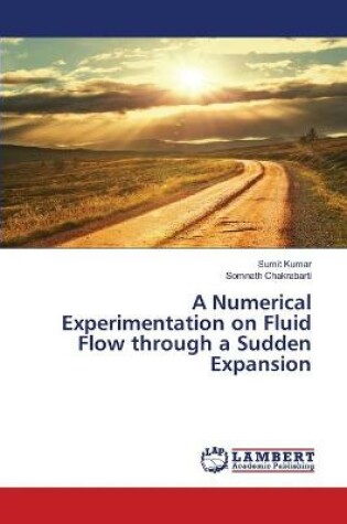 Cover of A Numerical Experimentation on Fluid Flow through a Sudden Expansion