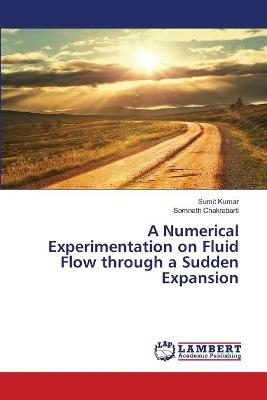 Book cover for A Numerical Experimentation on Fluid Flow through a Sudden Expansion