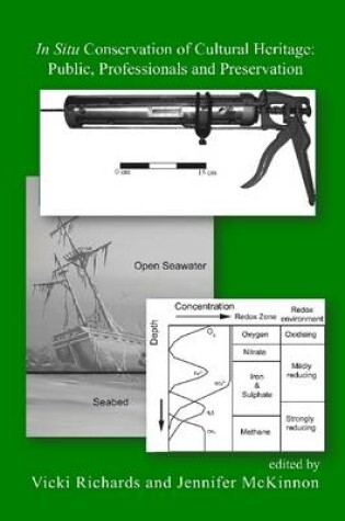 Cover of In Situ Conservation of Cultural Heritage: Public, Professionals And Preservation