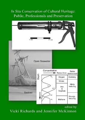 Book cover for In Situ Conservation of Cultural Heritage: Public, Professionals And Preservation