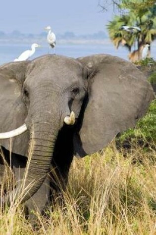 Cover of Elephants at Murchison National Park in Uganda, Africa Journal