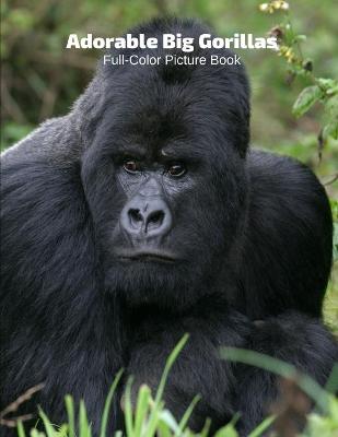 Book cover for Adorable Big Gorilla Full-Color Picture Book