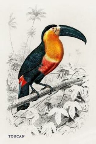 Cover of Toucan