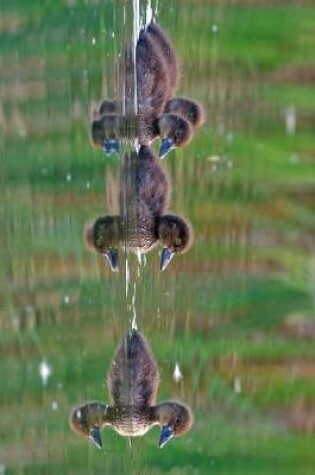 Cover of Tufted Duck Ducklings Journal