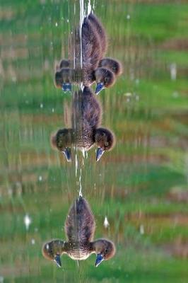 Book cover for Tufted Duck Ducklings Journal