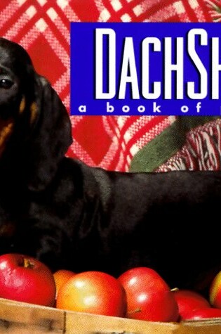 Cover of Dachshunds