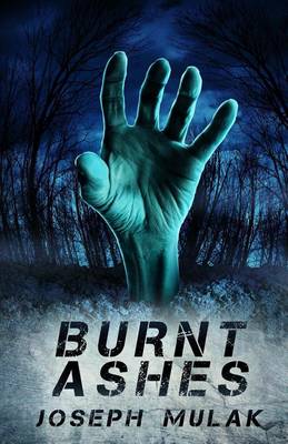 Book cover for Burnt Ashes