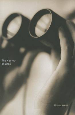 Book cover for The Names of Birds