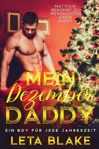 Cover of Mein Dezember Daddy