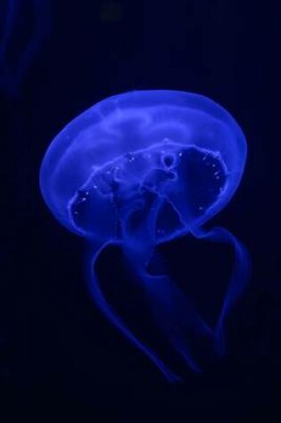 Cover of A Cool Jellyfish in Blue on Black