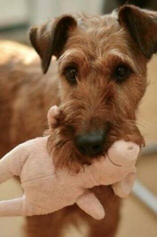 Cover of Irish Terrier Dog with His Toy Journal