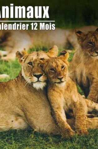 Cover of Calendrier 2021 Animaux