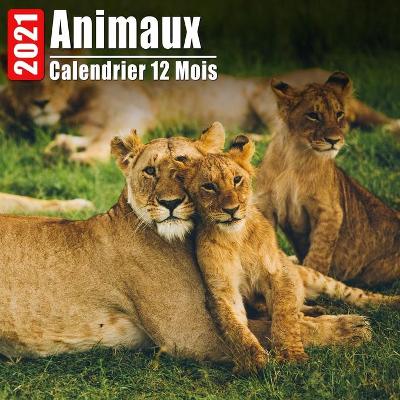 Book cover for Calendrier 2021 Animaux