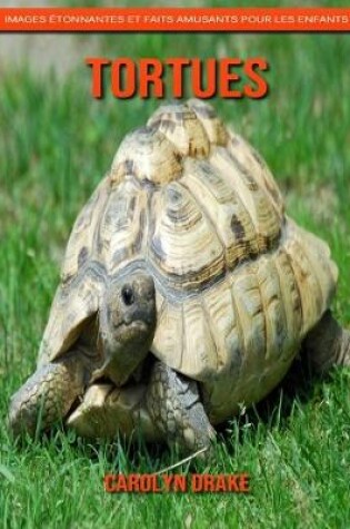 Cover of Tortues