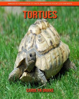 Book cover for Tortues