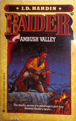 Book cover for Raider/Ambush Valley