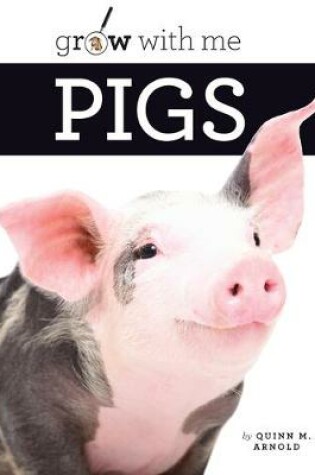 Cover of Pigs