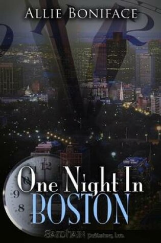 Cover of One Night in Boston
