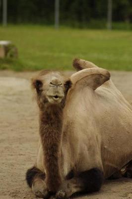 Book cover for The Bactrian Camel Journal