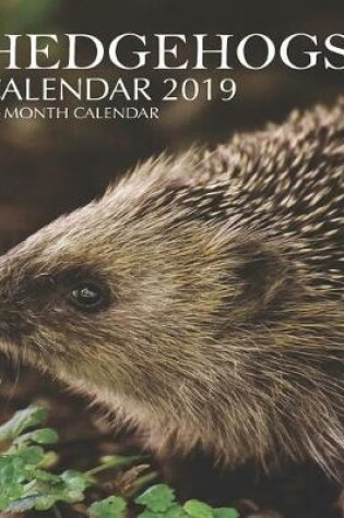 Cover of Hedgehogs Calendar 2019