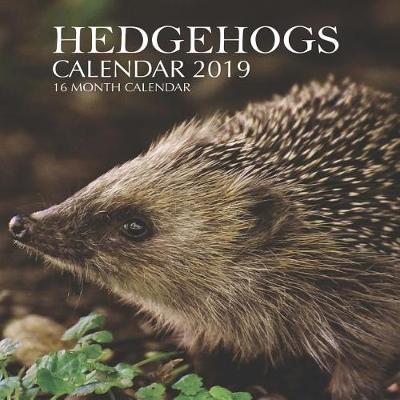 Book cover for Hedgehogs Calendar 2019