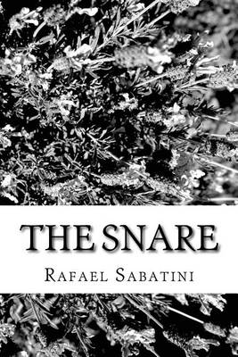 Book cover for The Snare