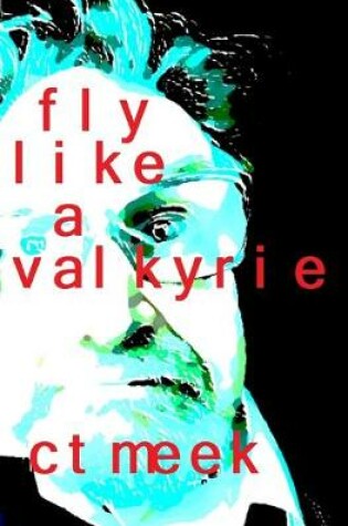 Cover of Fly Like a Valkyrie