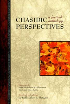 Book cover for Chasidic Perspectives: A Festival Anthology
