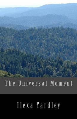 Book cover for The Universal Moment