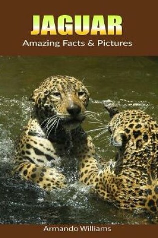 Cover of Jaguar