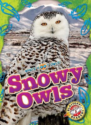 Cover of Snowy Owls