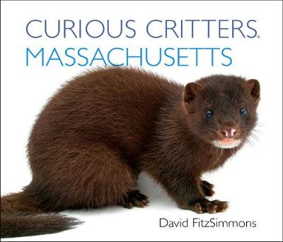 Book cover for Curious Critters Massachusetts