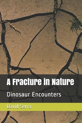 Cover of A Fracture in Nature