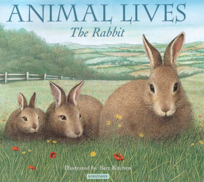 Cover of Rabbit