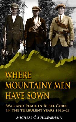 Book cover for Where Mountainy Men Have Sown: War and Peace in Rebel Ireland 1916-21