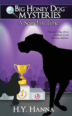 Book cover for A Secret in Time