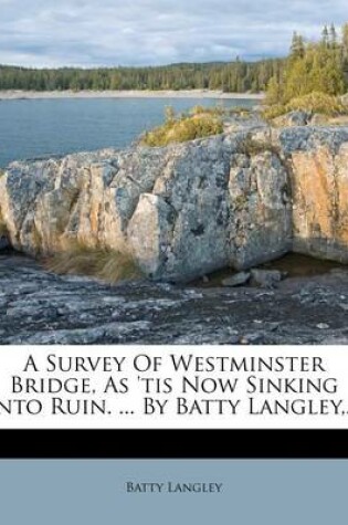 Cover of A Survey of Westminster Bridge, as 'Tis Now Sinking Into Ruin. ... by Batty Langley, ...