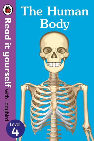 Book cover for The Human Body-Read it Yourself with Ladybird, Level 4