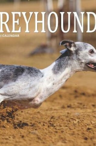 Cover of Greyhound