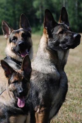 Book cover for German Shepherd's Are The Most Intelligent Dogs