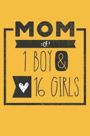 Cover of MOM of 1 BOY & 16 GIRLS