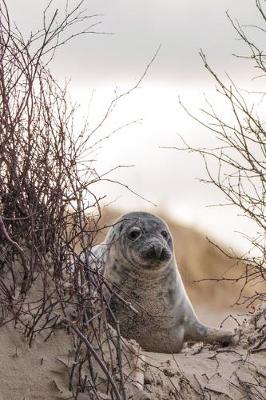 Book cover for Shy Gray Seal on the Beach Journal