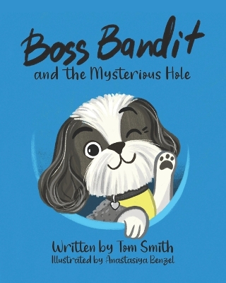 Book cover for Boss Bandit and the Mysterious Hole