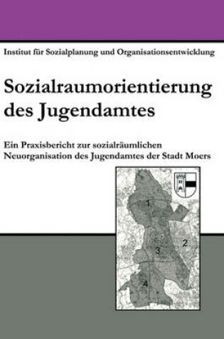 Cover of Sozialraumorientierung des Jugendamtes