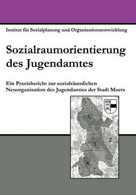 Book cover for Sozialraumorientierung des Jugendamtes